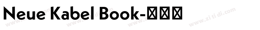 Neue Kabel Book字体转换